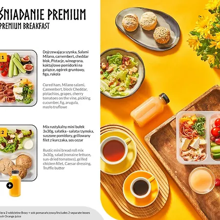 Lion - Scandi Ii ソポト