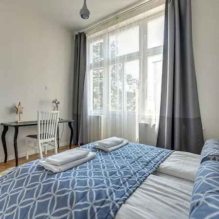 Lion - Scandi Ii * ソポト