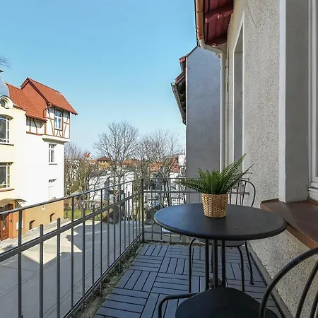 Lion - Scandi Ii * ソポト